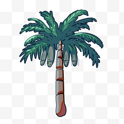 热带椰树树木