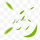 绿色矢量通用叶子漂浮免抠图案
