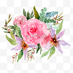 绿植标签图片_水彩花卉植物花朵插画