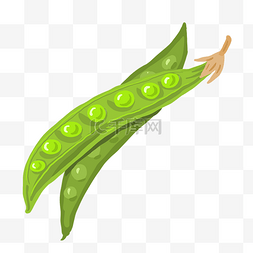 绿色食品食品图片_绿色食品豆角