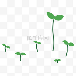 小豆芽绿芽植物发芽