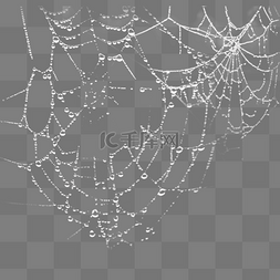 网蜘蛛网图片_小清新露水网效果设计