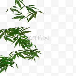 绿色植物叶片图片_绿色植物竹叶元素