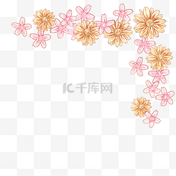 漂亮雏菊樱花