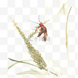 麦穗上的昆虫水墨画PNG免抠素材