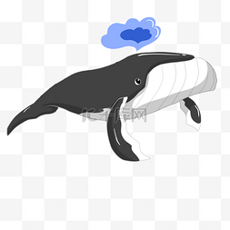 黑色喷水的鲸鱼