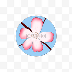  粉色的海棠花