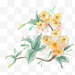 水墨黄花卡通插画