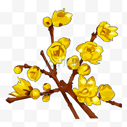 黄色冬天手绘卡通植物腊梅