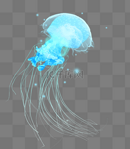 蓝色章鱼图片_蓝色浮游生物水母