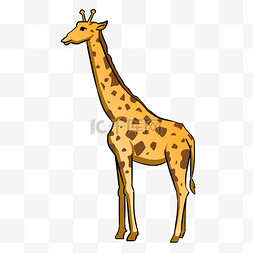 野生长颈鹿哺乳动物插画