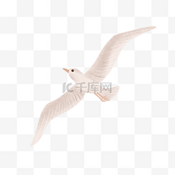 颗粒感插画图片_颗粒感飞翔的海鸥插画PNG图片