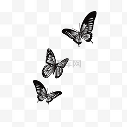 昆虫类型图片_卡通黑白渐变色蝴蝶