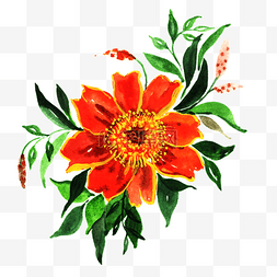 橙红色水彩花卉