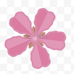 粉色小花png