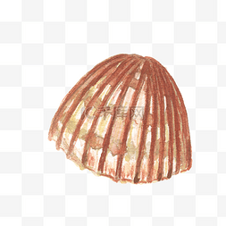 手绘贝壳图片_卡通手绘水彩夏日海边贝壳