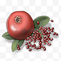 红石榴石榴图片_健康美味的水果红石榴