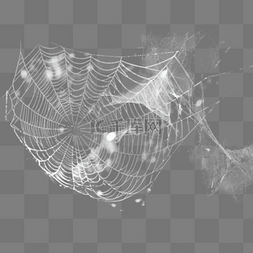 白色棉絮状蜘蛛网效果设计