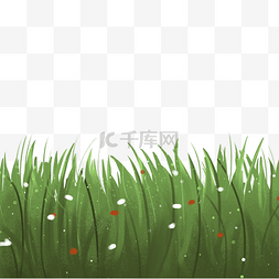 草坪背景素材图片_绿色高高的草坪免抠图