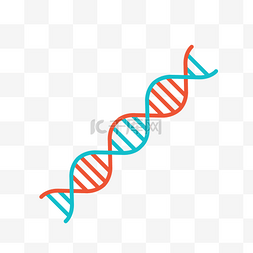 单色螺旋矢量DNA
