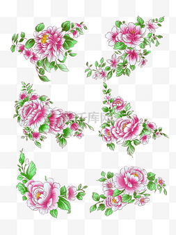 粉红牡丹图片_植物粉红色牡丹花