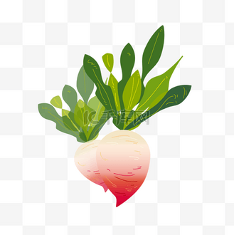 新鲜蔬菜青萝卜三只萝卜个人vip和企业vip免费下载免抠背景卡通风格