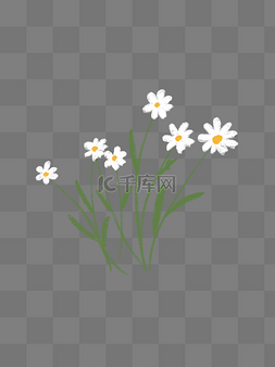 花素材素材下载图片_手绘小清新雏菊下载