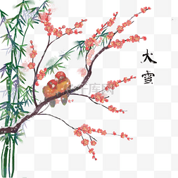 两只小鸟图片_卡通手绘二十四节气大雪两只鹦鹉