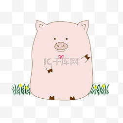 坐在草地的胖胖猪粉嫩可爱