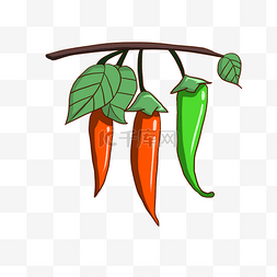 辣椒种植蔬菜