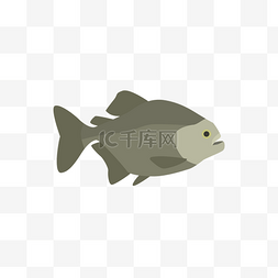 卡通水里动物图片_热带鱼PNG免抠