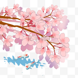 日本春季樱花锦鲤风景图