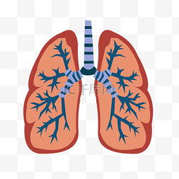 人体结构卡通图图片_手绘扁平人体器官肺矢量免抠素材