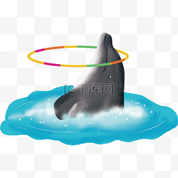 气泡世界图片_世界海洋日可爱海豚