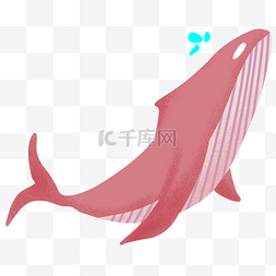 鲸鱼手绘插画图片_红色的鲸鱼手绘插画