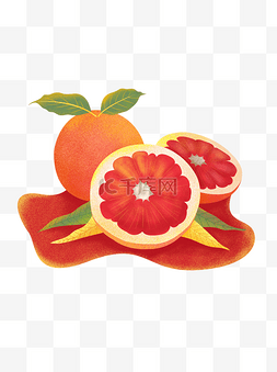 手绘小清新插画水果食物西柚