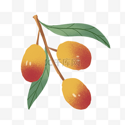 成熟的枣子果实手绘插画元素