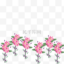 红通通的鲜花免抠图