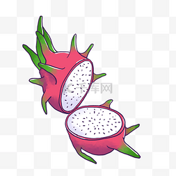 白色果蔬图片_手绘热带水果火龙果插图PNG免抠素