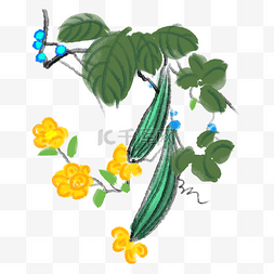 黄色的花朵装饰图片_黄色花朵丝瓜插画