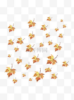 手绘植物漂浮树叶枫叶