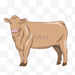 动物手绘牛图片_可爱的手绘黄牛插画