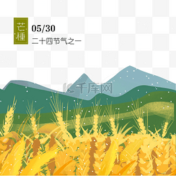 小麦插画图片_芒种插画黄色稻谷