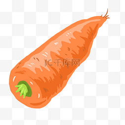 萝卜黄色图片_新鲜蔬菜萝卜
