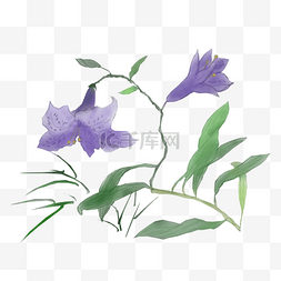 手绘水彩紫色花朵图片_卡通手绘中国风水彩紫色花朵免抠