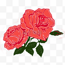 植物卡通描边图片_盛开的红色玫瑰花