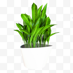 装饰植物盆景图片_3D家装装饰植物