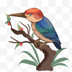 珍稀鸟类素材免抠图片_春天鸟类站在果子树上的鸟
