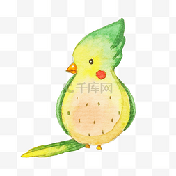 手绘翠绿的小鸟插画