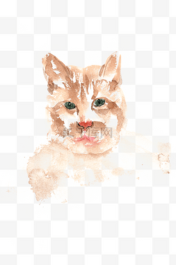 凝视的小猫水彩画PNG免抠素材